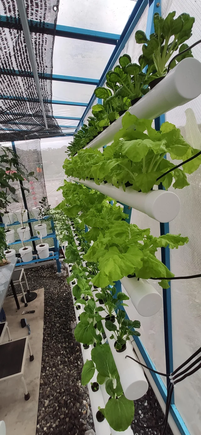 Mini Greenhouse Hydroponic System