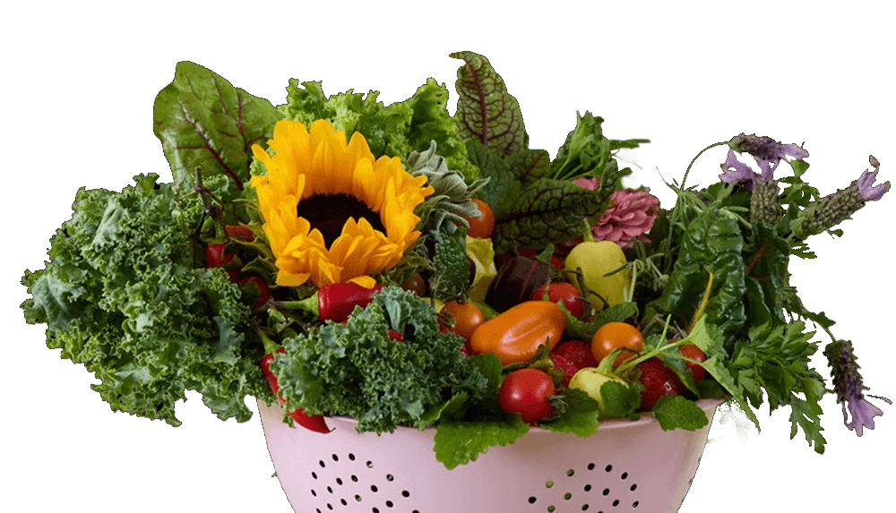 Indoor Hydroponic Growing System by Tru-Spring